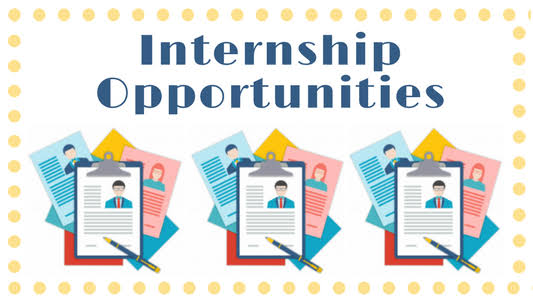 Internship Image